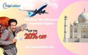 Smart Travellers Save More: Discover Unbeatable Flight Ticket Offers & the Cheapest Domestic Flights